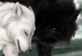 /album/imagens-do-jogo-the-wolfs/lobo-assasino-jpeg/